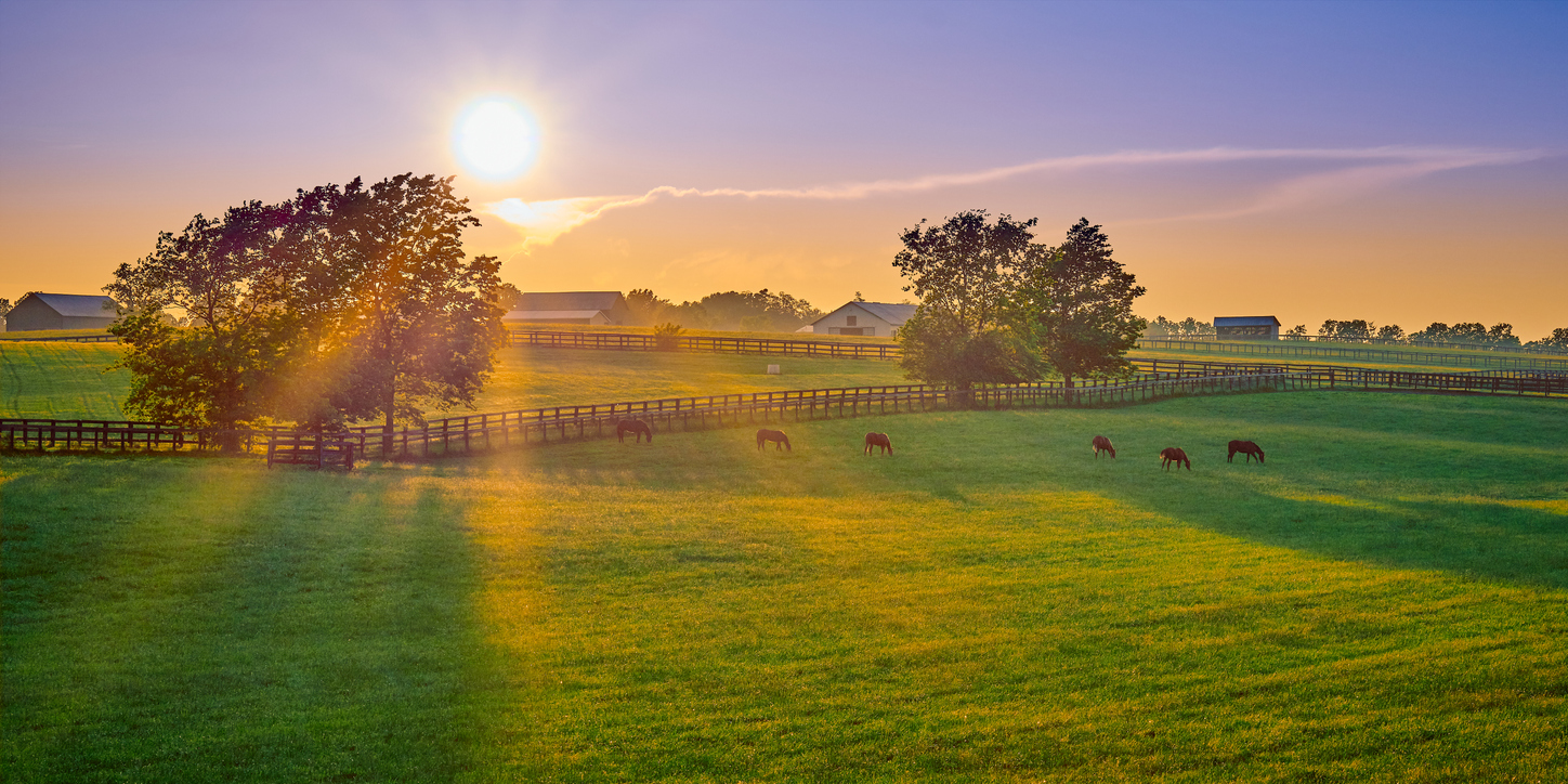 Landscape with a bright sun high in the sky, positioned between two silhouetted tree lines. A faint, wispy cloud stretches horizontally across the sky, below the sun. The sky fades from a light blue at the top to a pale yellow near the horizon.