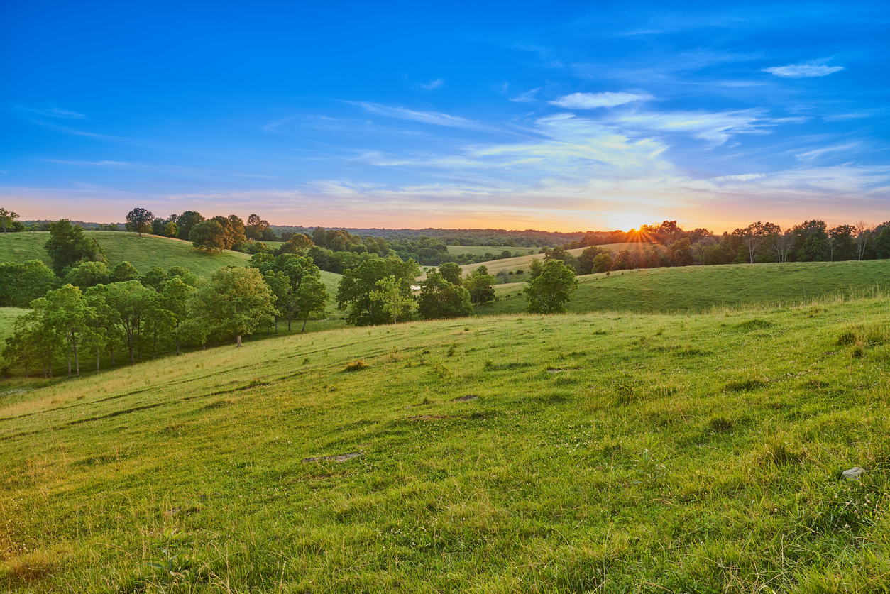 Rolling green hills landscape at sunset with a blue sky and sun rays.
