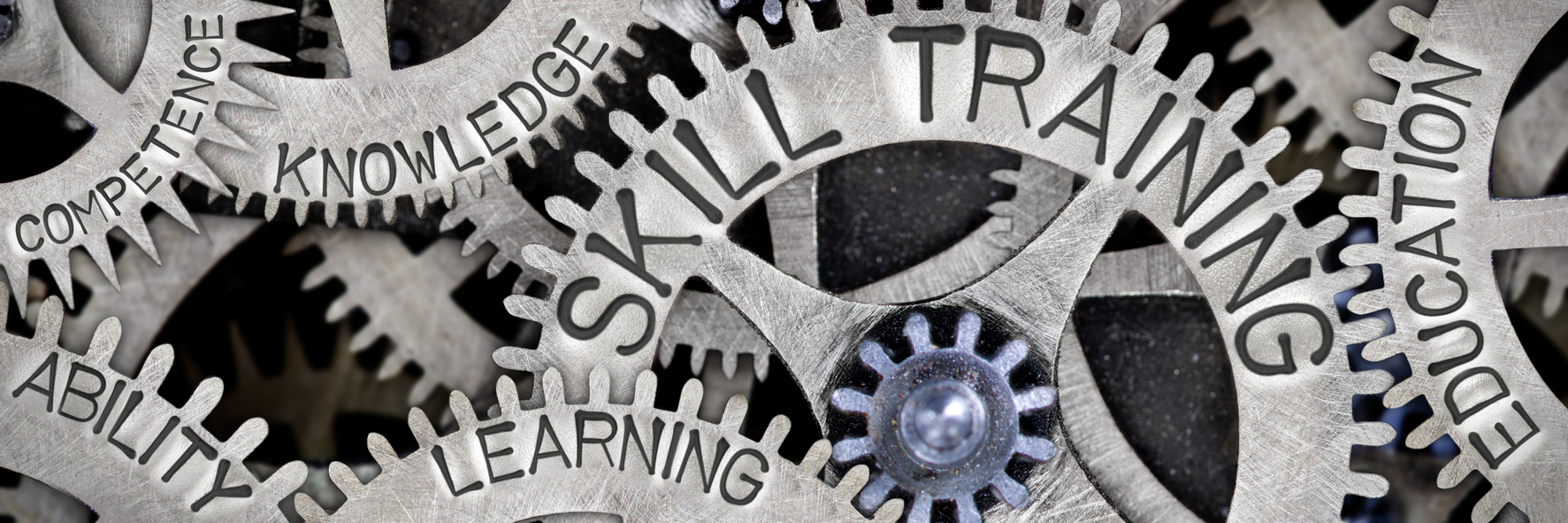 Gears with words related to education and skills: Close-up of interlocking gears with words like "TRAINING," "ABILITY," "KNOWLEDGE," "LEARNING," and "EDUCATION" engraved on them, suggesting the interconnectedness of these concepts.