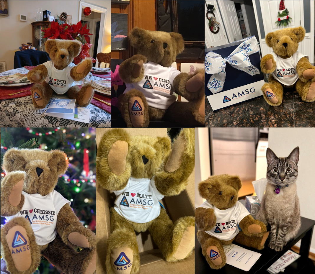 Collage of six images featuring teddy bears wearing AMSG t-shirts, with the text "WE [name] AMSG" visible on each shirt, and one image including a cat.