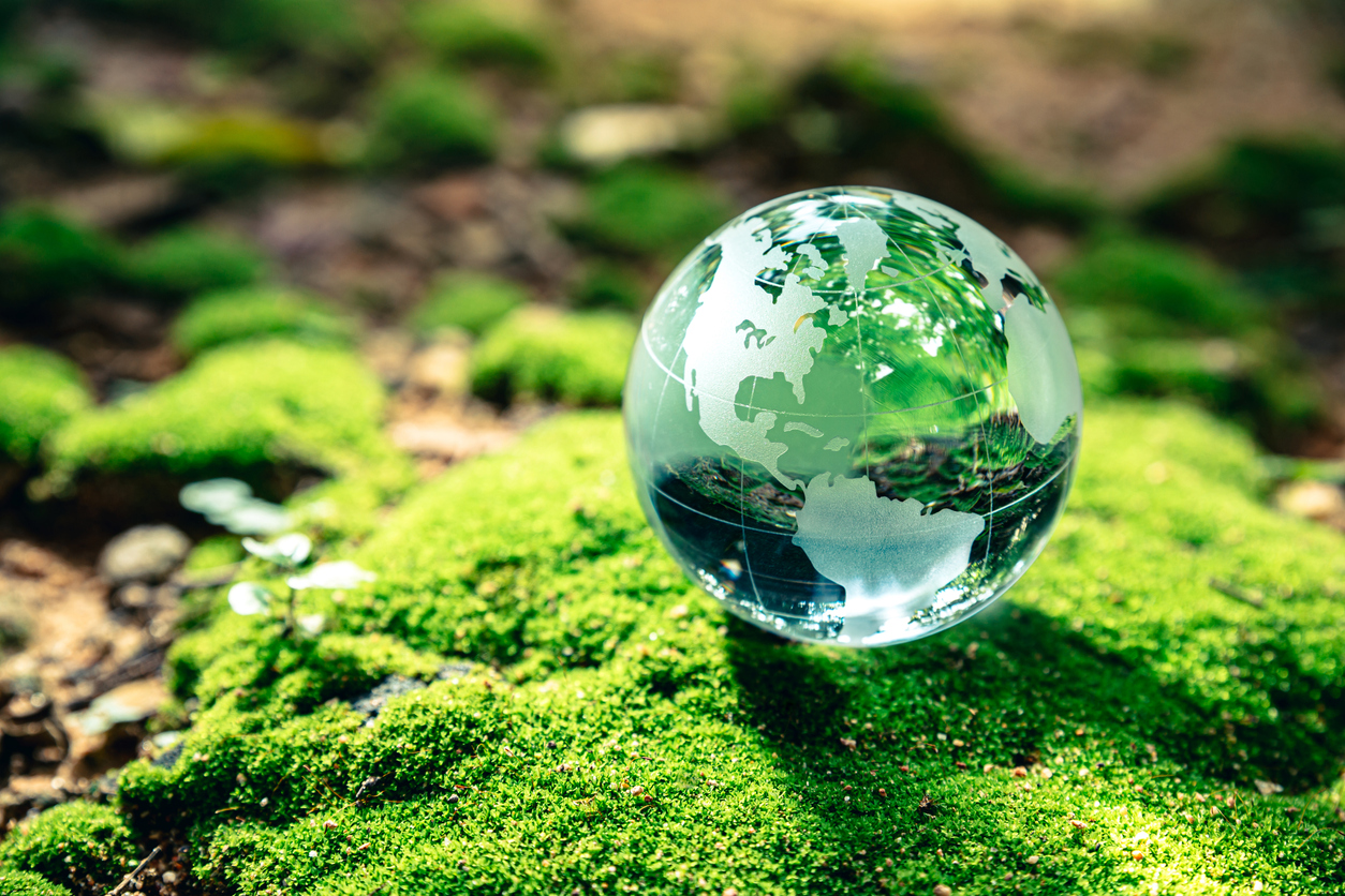 Clear glass globe with a world map etched on its surface, resting on a bed of bright green moss. The background is blurred and suggests an outdoor setting with sunlight. The moss is textured and contrasts with the smooth globe.