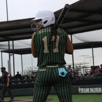 A softball batter in a green and white pinstripe uniform with the name "MUSSELMAN" and number "17" on the back stands at home plate, holding a bat and facing the pitcher. A catcher in a light blue and white uniform is behind her, and an umpire in black and white stands nearby. Spectators are seated in the background.